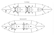 Fin Whale